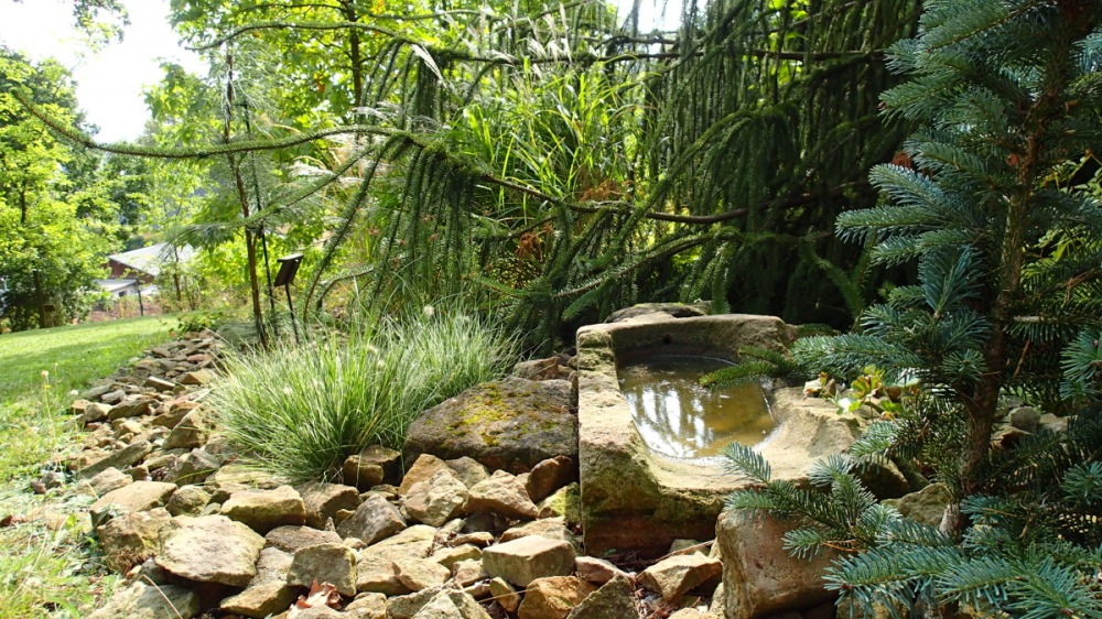 2016 Arboretum ampach - konec lta (16.9.)