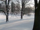 Doln zmeck park, zima 2006