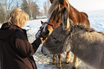 2017 Chov domácích zvířat - zooterapie